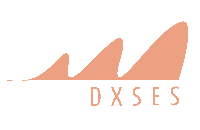 株式会社dxses